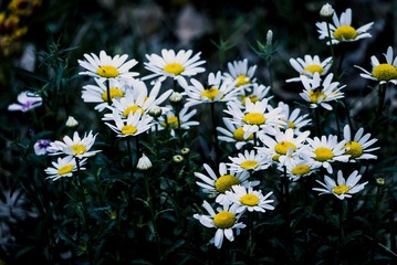 P1070731