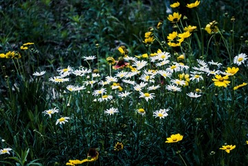 P1070732