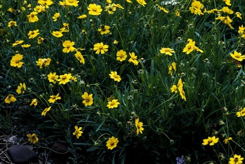 P1070734