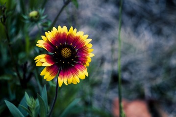 P1070737
