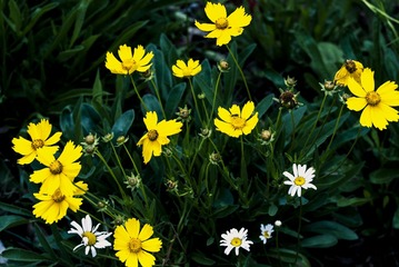 P1070740