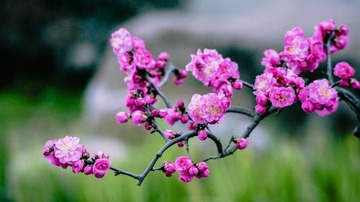 P1080256