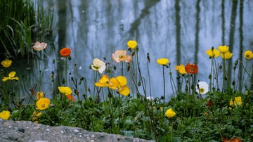 P1080223