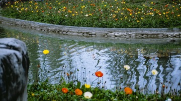 P1080227