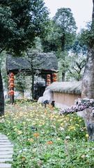P1080278