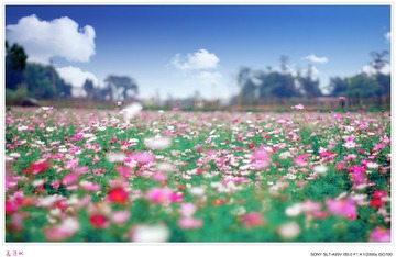 _DSC8068_ts
