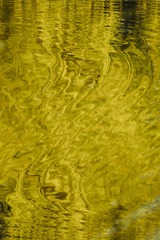DSC00679-1