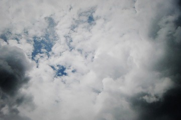 11 (10).jpg