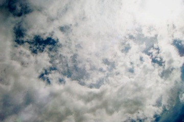 11 (14).jpg