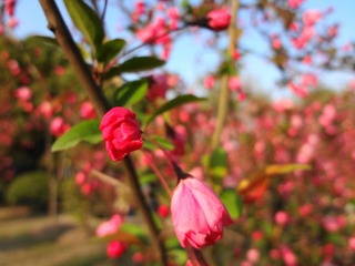 DSC00272.JPG