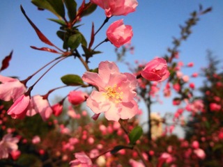 DSC00274.JPG