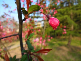DSC00276.JPG