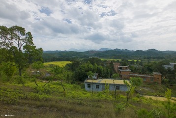 L1000166