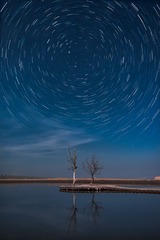 _DSC7918 拷贝