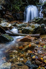 _DSC5005 拷贝