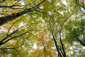 _DSC5668