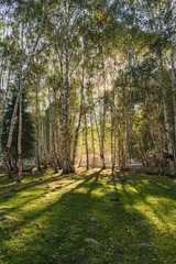 _DSC0385-HDR 拷贝