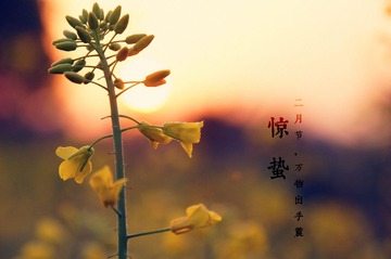 DSC00260_副本.jpg