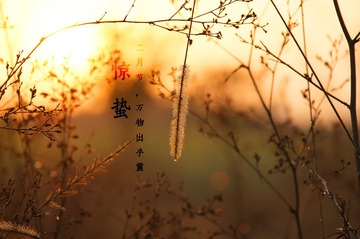 DSC00268_副本.jpg
