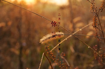 DSC00269_副本.jpg