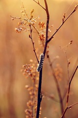 DSC00294_副本.jpg