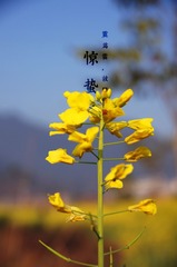 DSC00480.JPG