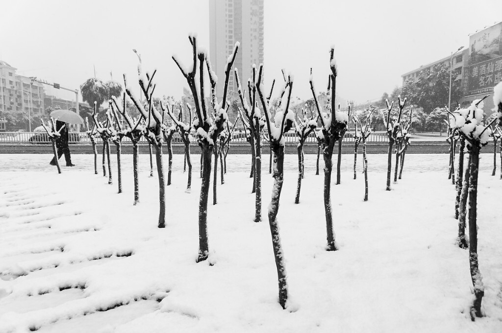 雪