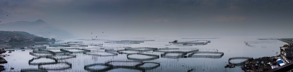 这是在霞浦福鼎市八尺门镇江边村拍的围网，是张接片。当时的天气太糟了，雾气昭昭能见度极差。