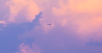 68636