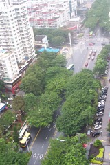 柯达100_1414