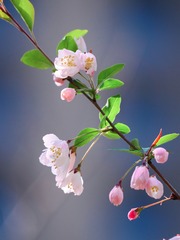 43F8F604-D7EC-4622-BD30-E4DB1AB2287A/L0/001