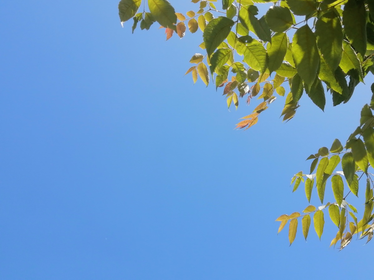 阳光明媚风和日丽