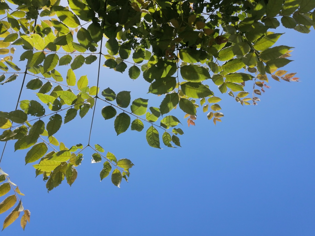 阳光明媚风和日丽