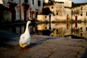 IMG_6353-2.jpg