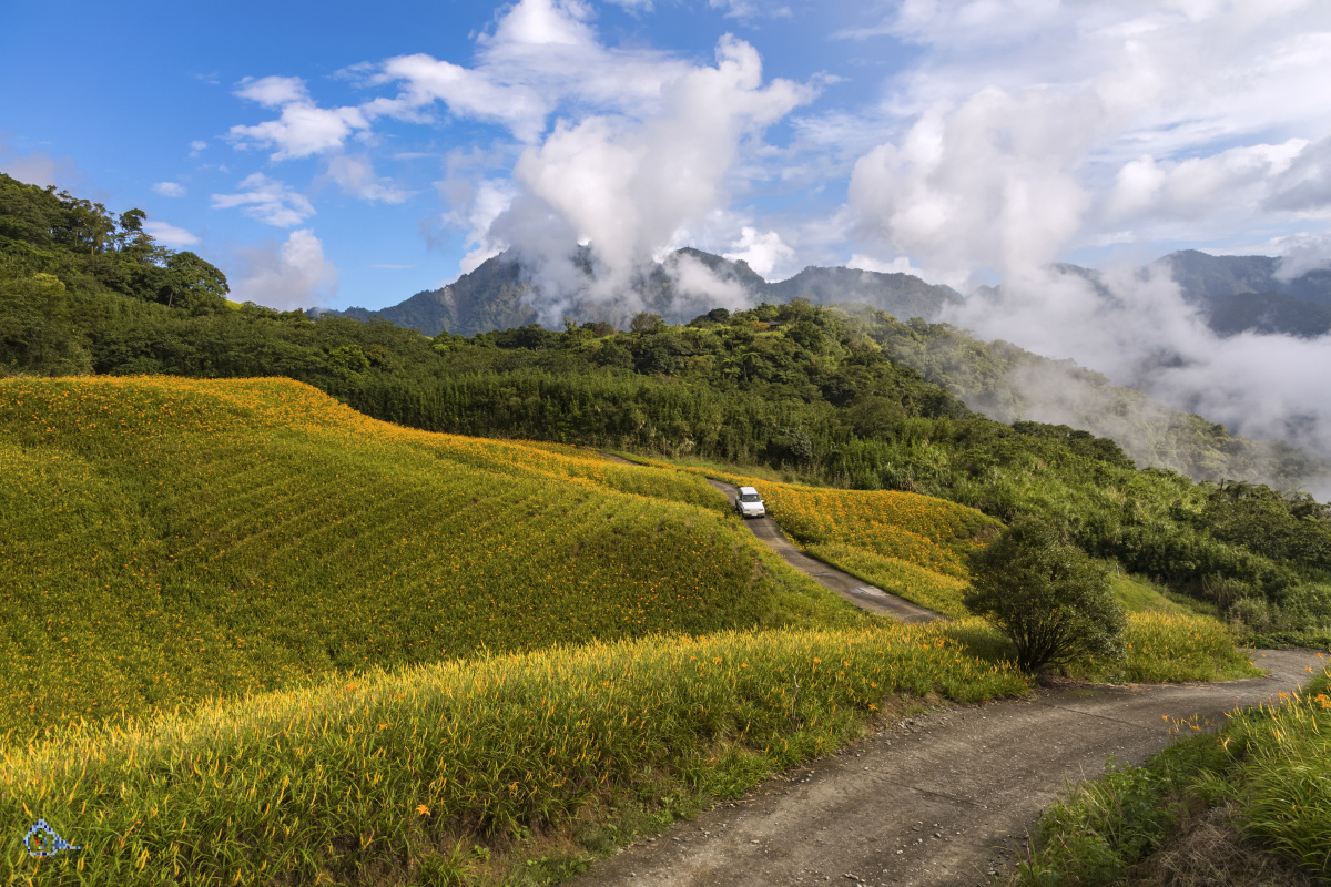 不走出去又怎麼知漂亮的风景在哪里