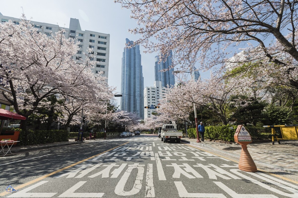 韩系街道背景图图片