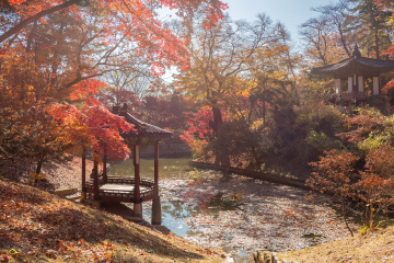國王的後花園