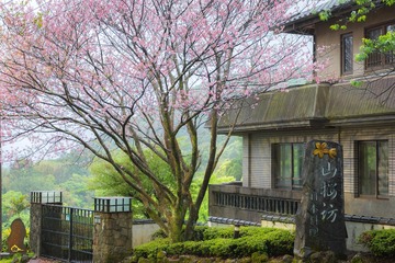 山樓無垢遠俗慮  櫻坊有花來清芳