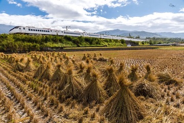 聽說現在只要3000就可以在花東吃稻飽