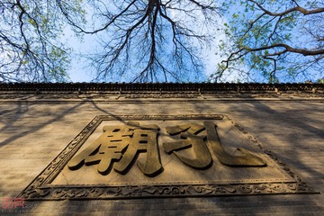 子曰: 有朋自呆丸來 不亦樂乎