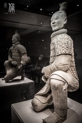 叩見陛下