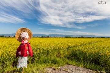 小紅稻草人