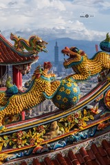 龍爭虎鬥101