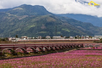 過年搭火車走春