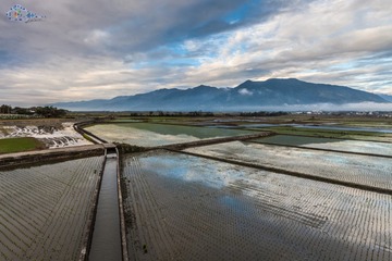 你如果問雲哥 世界上去哪玩最好 他會說 :沒事來池上晃晃就好