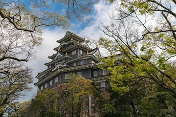 雲哥很喜歡吃岡山炒羊肉 但是找遍了整座城,原來這裡沒有賣炒羊肉