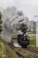 聖誕列車