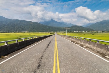 黃金大道