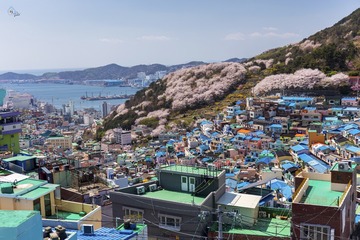 愛在甘川