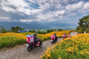 雲哥 金晚想來點.......